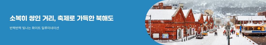 소복히 쌓인 거리, 겨울 북해도