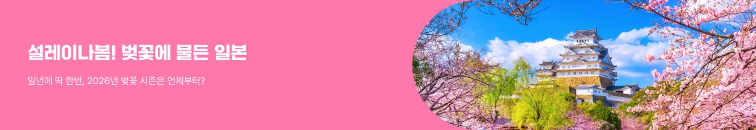 2026년 일본 벚꽃여행