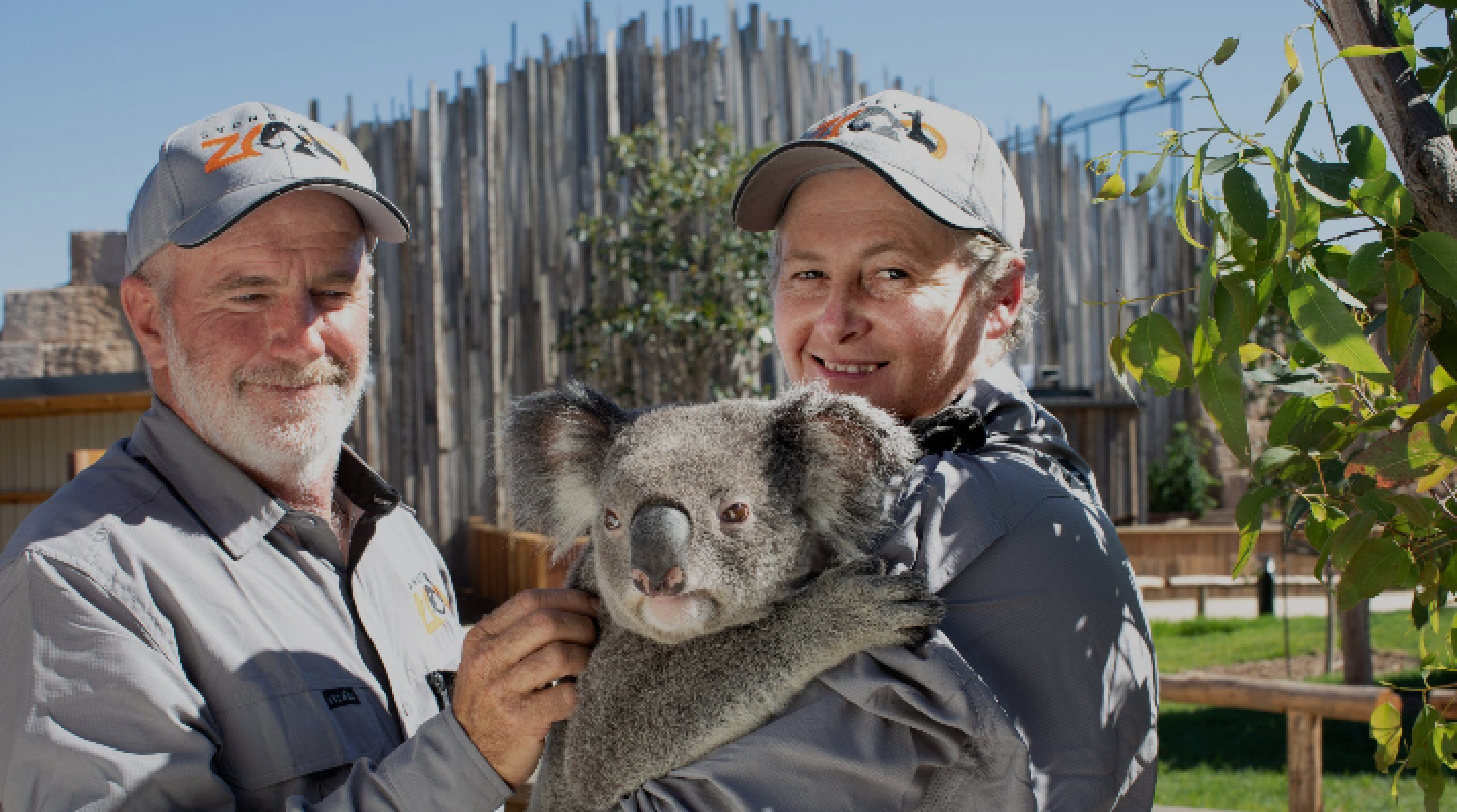 온라인투어 by 여기어때투어