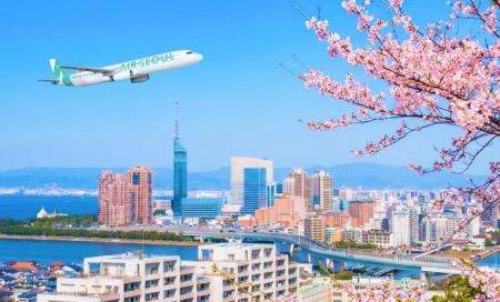 에어서울과 함께하는 봄의 시작